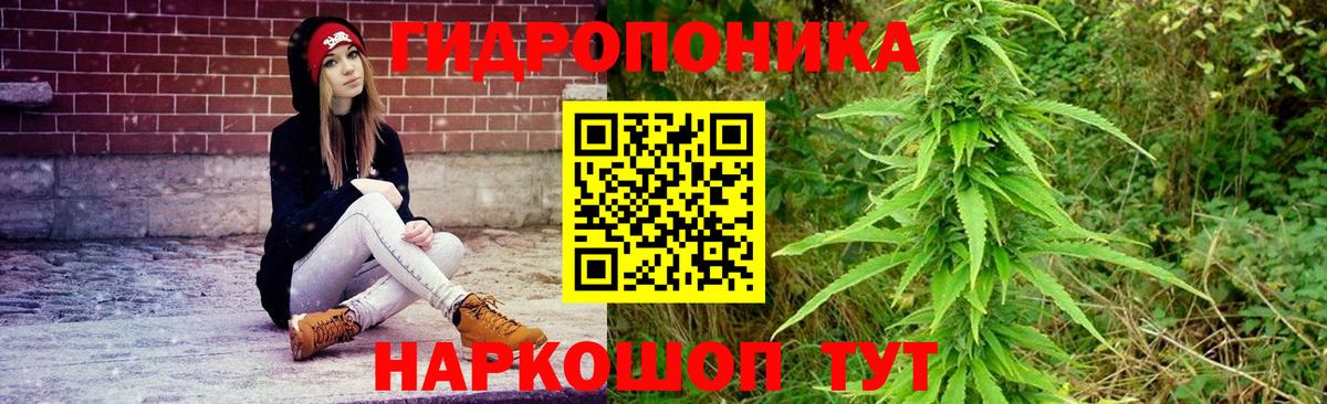 Конопля OG Kush  Вход с VPN  Канабис гибрид  Мичуринск  Бошки марихуана OG Kush 